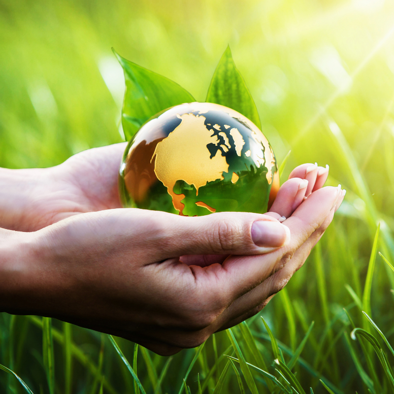Our Environment