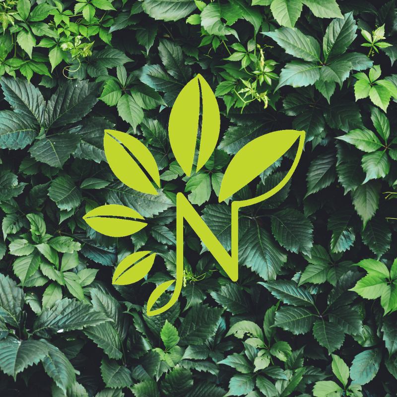 Why Natural Tone Organic Skincare?