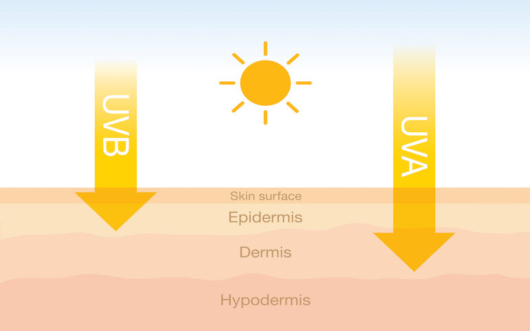 How to Choose The Right Sun Protection for You. Essential information from our European distributor - Suncare Central.
